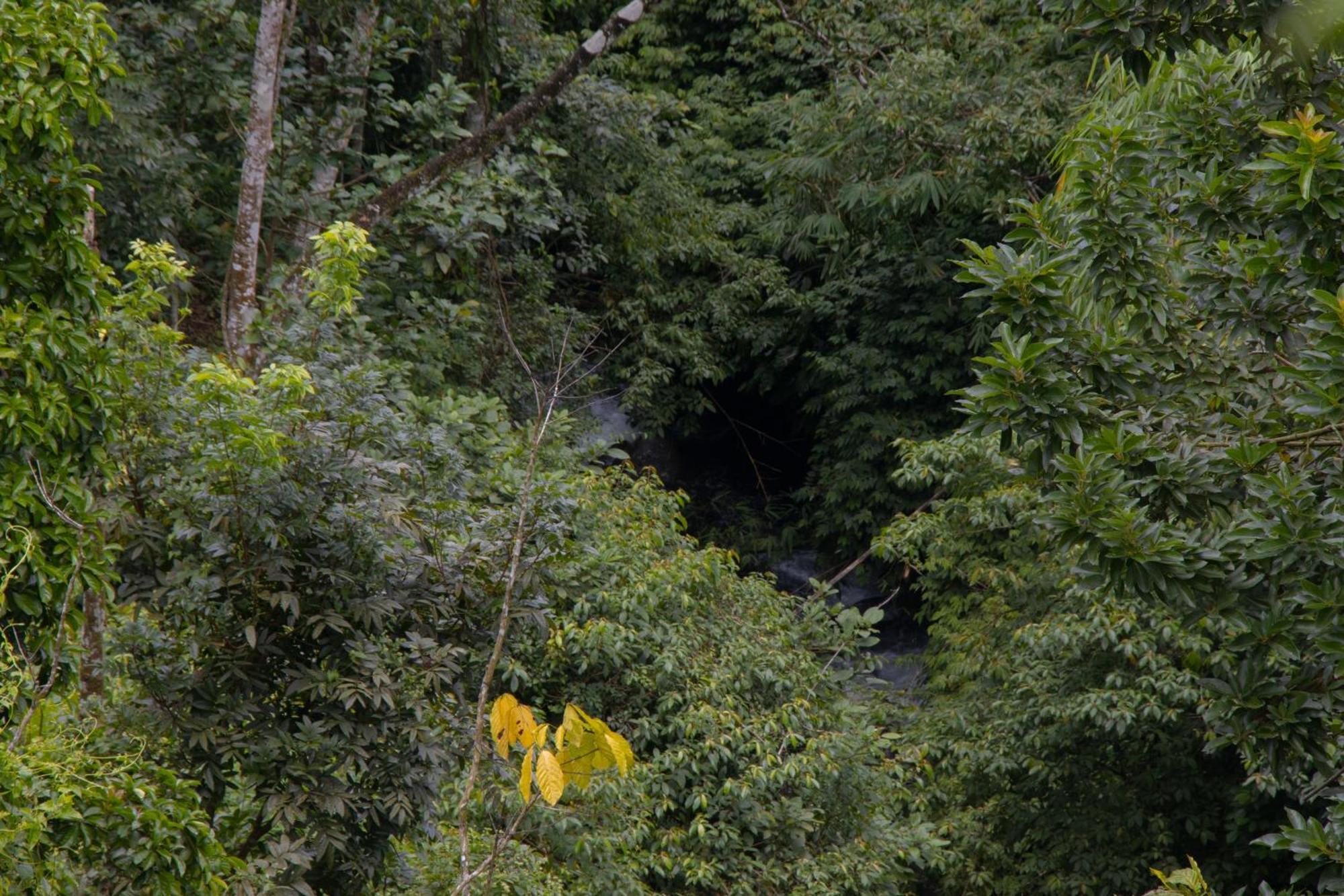 برايا Goa Walet Cottage المظهر الخارجي الصورة
