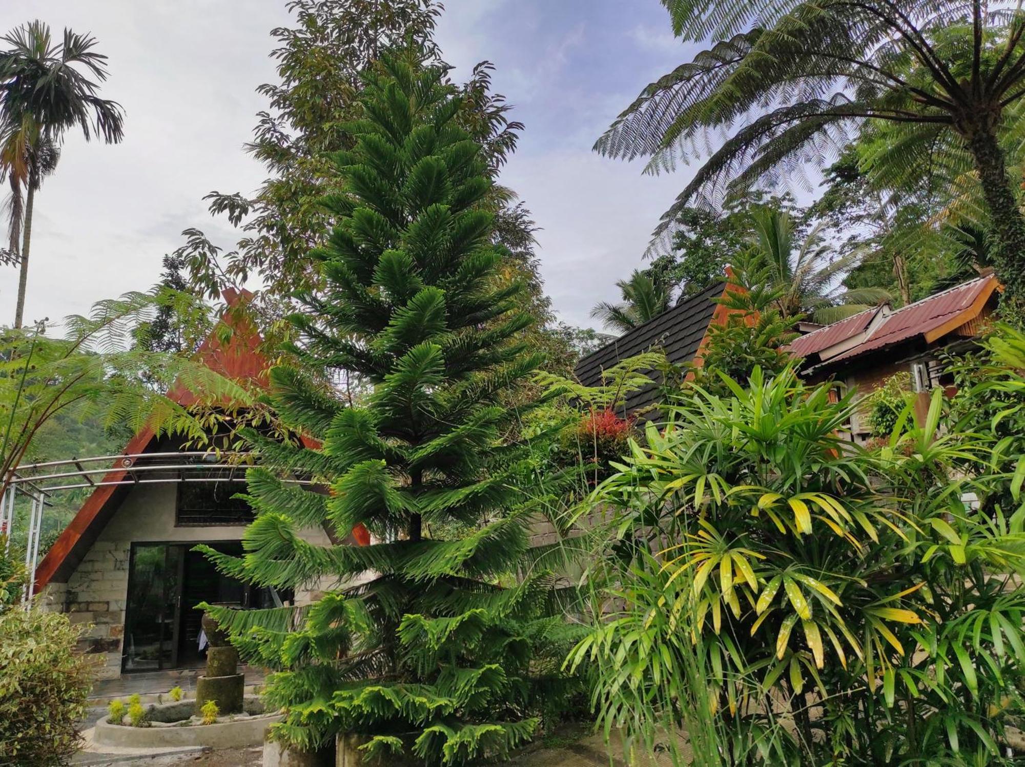 برايا Goa Walet Cottage المظهر الخارجي الصورة