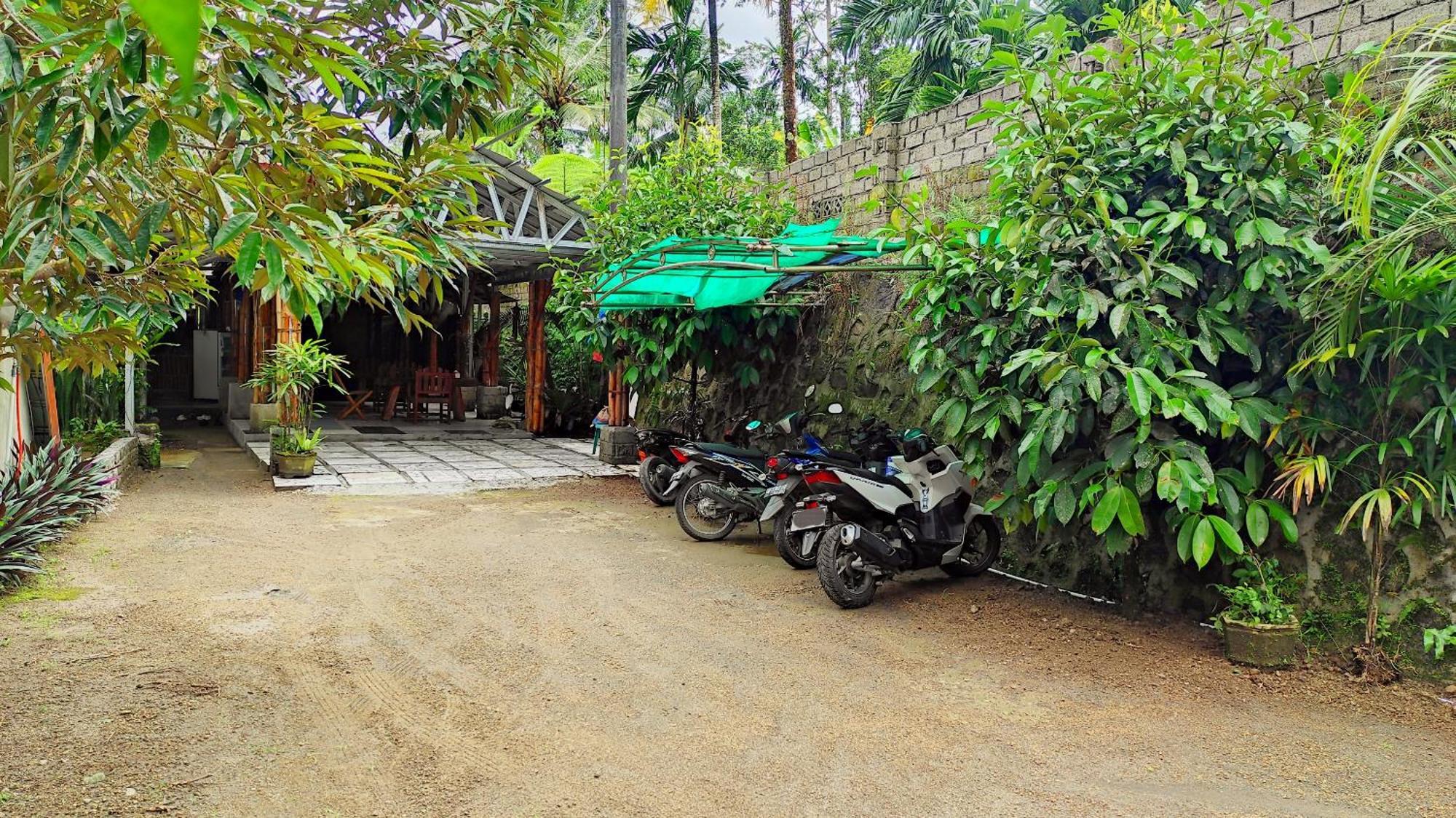 برايا Goa Walet Cottage المظهر الخارجي الصورة